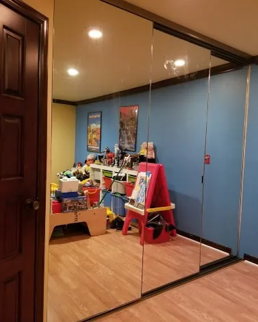 sliding mirror door